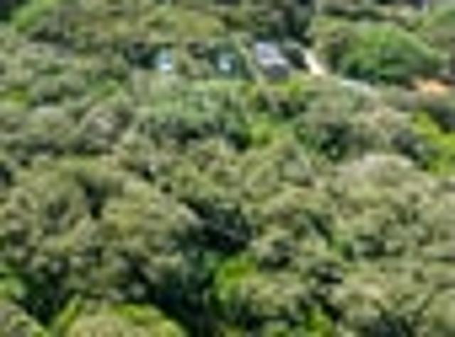 Land for sale in Omiha