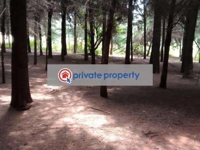 Land for sale in Juja