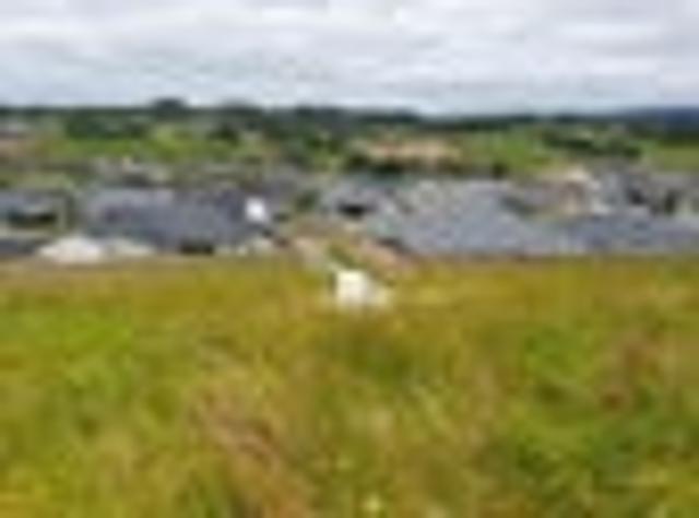 Land for sale in Kawau Island