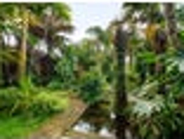House for sale in Hamilton, Waikato