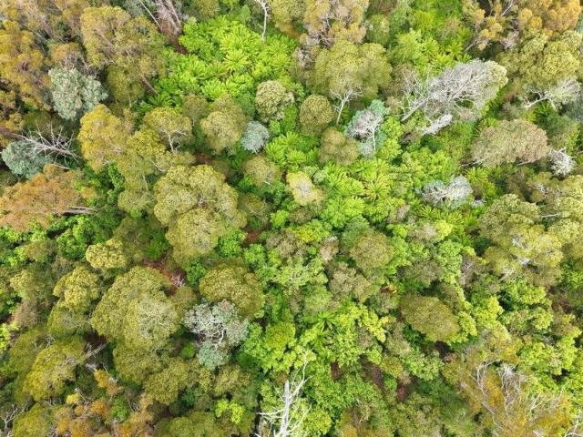 Land for sale in Bream Creek, Tasmania