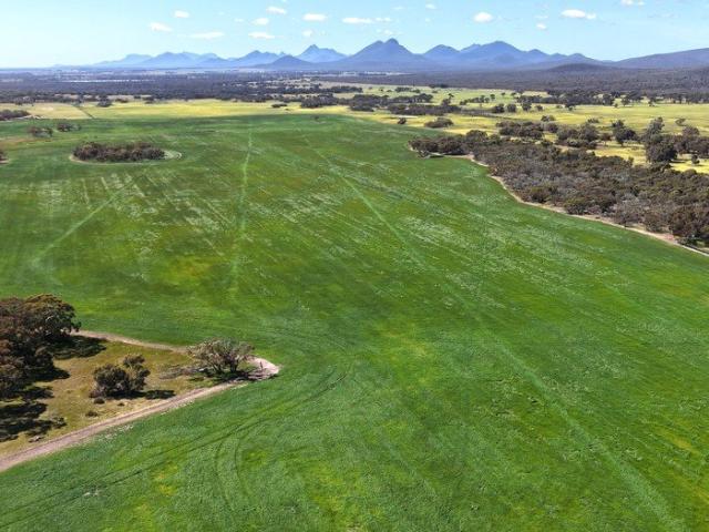 Cottage for sale in North Stirlings, Cranbrook
