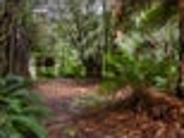 Land for sale in Pauatahanui, Wellington