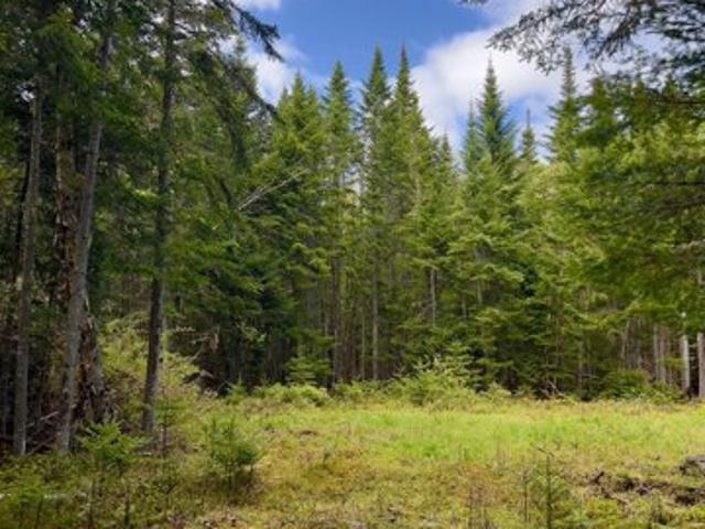 Land for sale in Rangeley, Maine