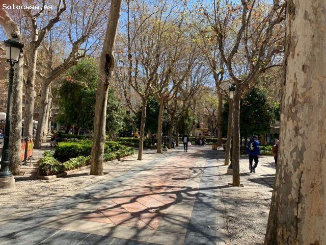 Local Comercial en venta en La Granada, Centro - Sagrario