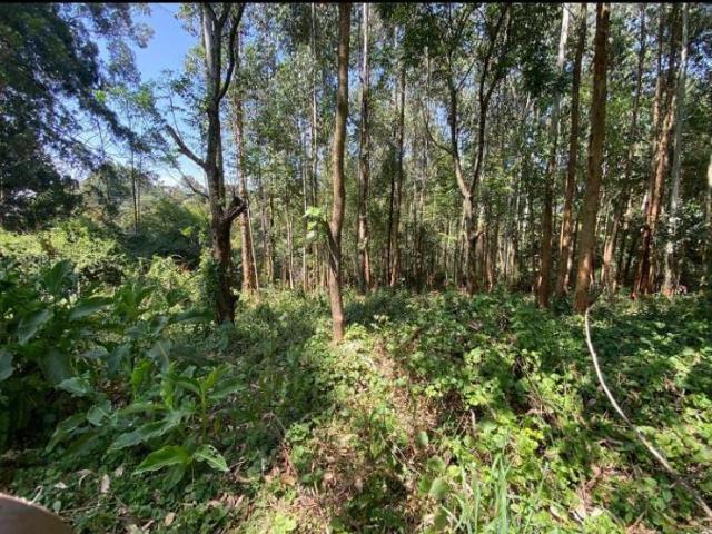 Land for sale in Kitisuru, Kiambu