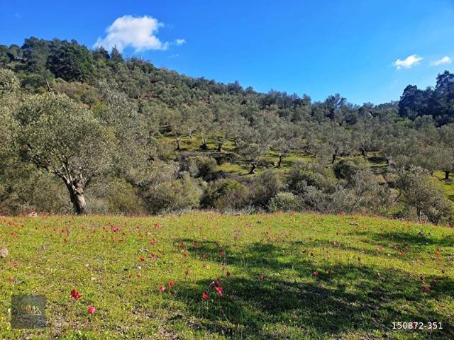 Dikili, İzmir içerisinde satılık mülk