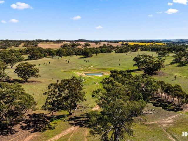 Acreage for sale in Moculta, South Australia