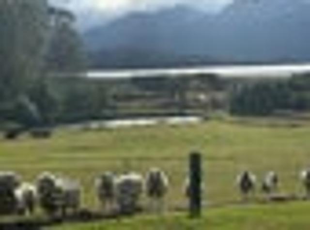 Land for sale in Te Anau, Southland