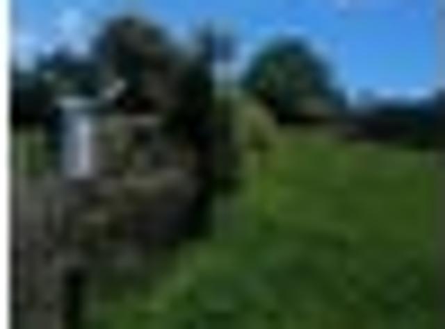 Land for sale in Waikato