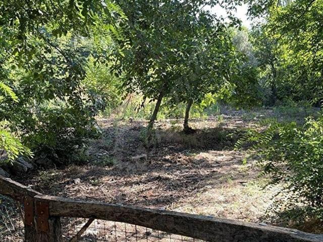 Ağlasun, Burdur içerisinde satılık Arsa