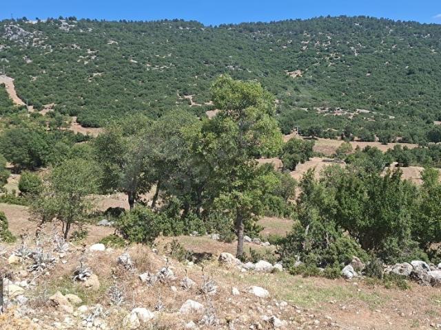Ağlasun, Burdur içerisinde satılık Arsa