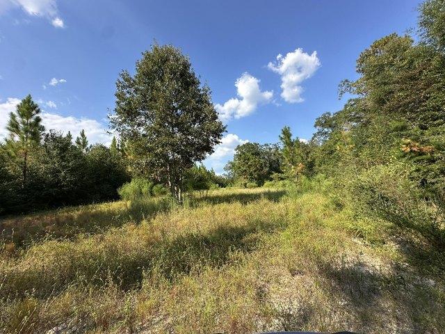 Land for sale in Laurel Hill, Florida