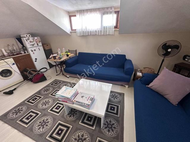 Kağithane, İstanbul içerisinde kiralık mülk