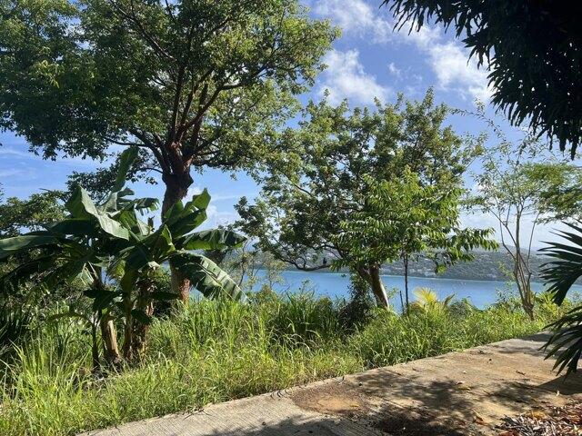 Land for sale in Saint Thomas, Missouri