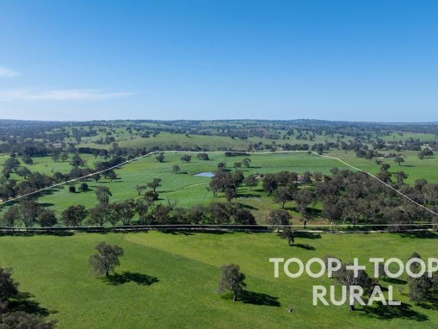 Cottage for sale in Springton, South Australia