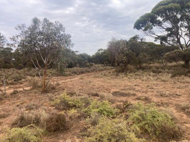 Property for sale in Port Germein, South Australia