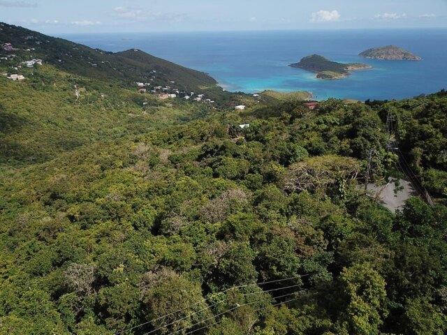 Land for sale in Saint Thomas, Missouri