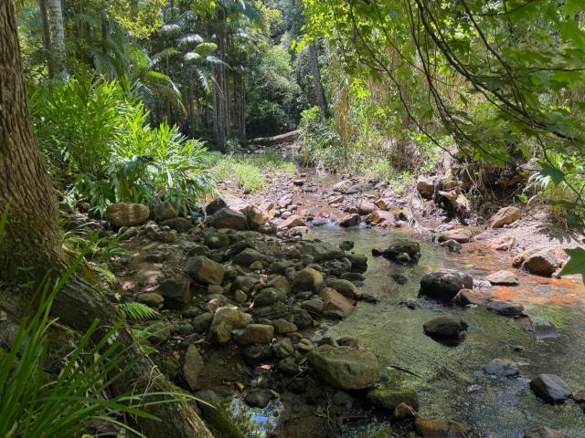 Cottage for sale in Main Arm, New South Wales