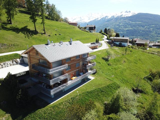Wohnung mieten in Mont-Noble, Wallis