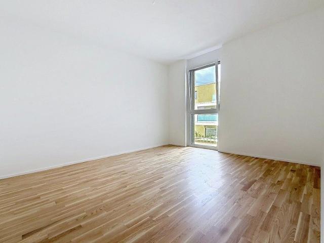 Apartment mieten in Sion