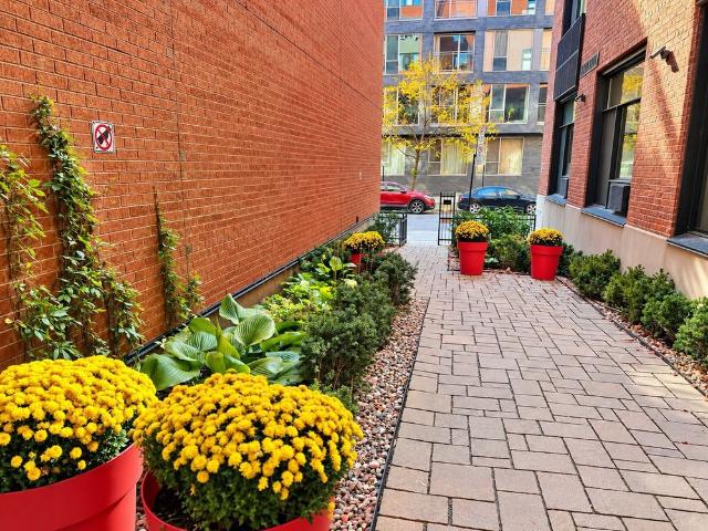 Apartment for rent in Saint-Henri, Montréal
