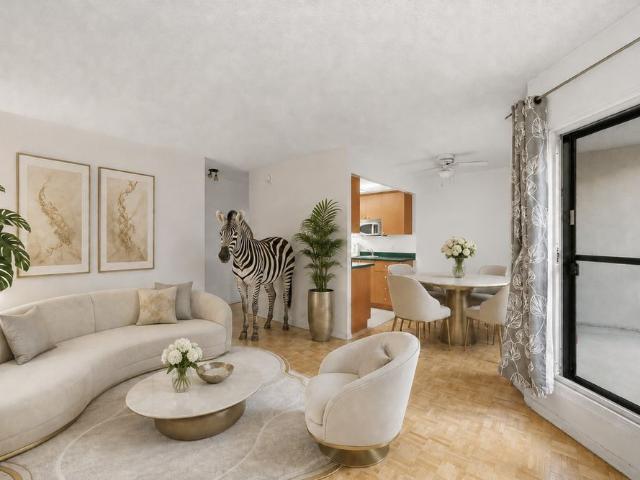 Apartment for rent in Ville-Marie, Montréal
