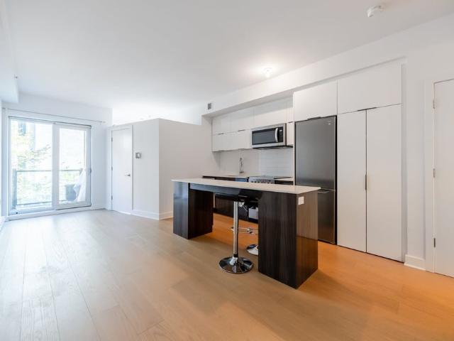 Apartment for rent in Ville-Marie, Montréal