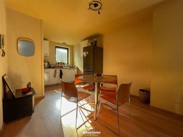 Appartement location à Antoing, Wallonie