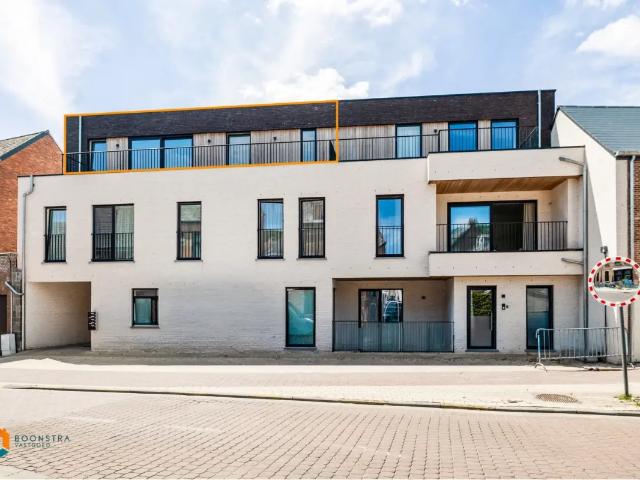 Appartement location à Putte, Antwerpen