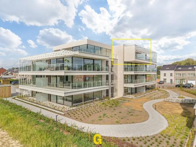 Appartement location à Bilzen, Limburg
