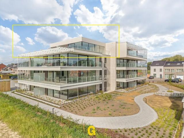 Appartement location à Bilzen, Limburg
