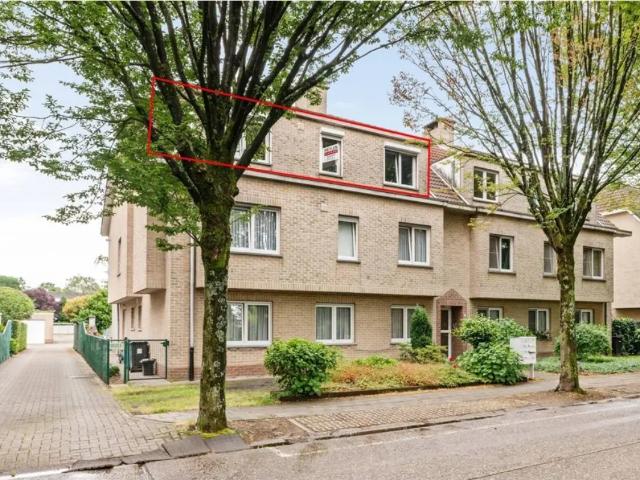 Appartement location à Brasschaat, Antwerpen