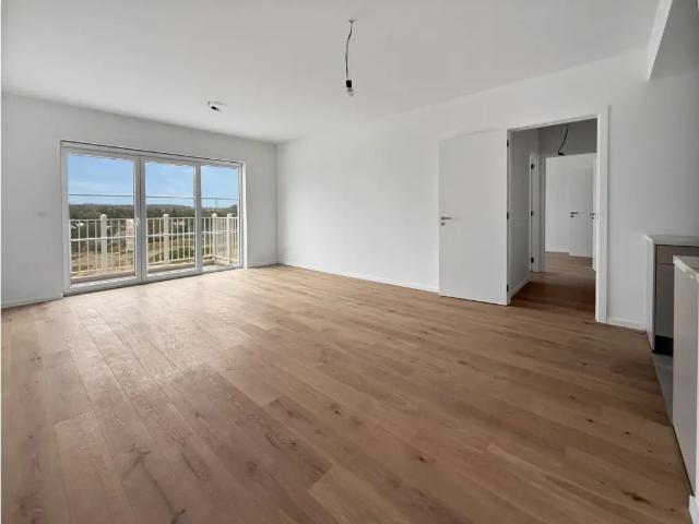 Appartement location à Court-saint-étienne, Wallonie