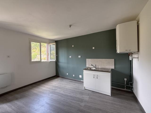 Appartement location à Céret, Amélie-les-bains-palalda