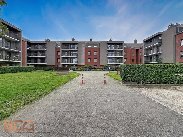 Appartement location à Frameries, Wallonie