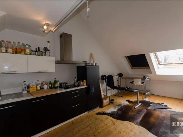 Appartement location à Muinkparkwijk, Gent