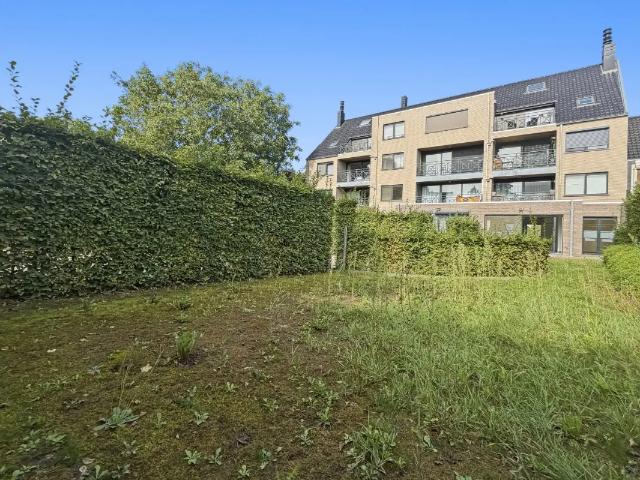 Appartement location à Halle, Brabant