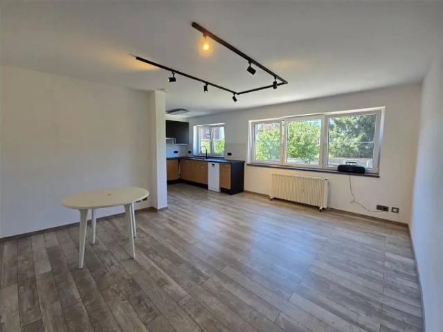 Appartement location à Halle, Brabant