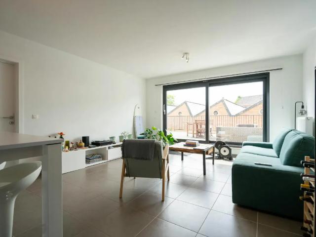 Appartement location à Hamme