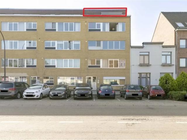 Appartement location à Herentals