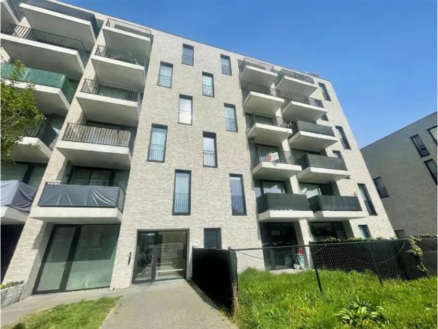 Appartement location à Zwaantjes, Antwerpen