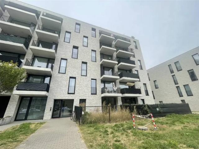 Appartement location à Antwerpen