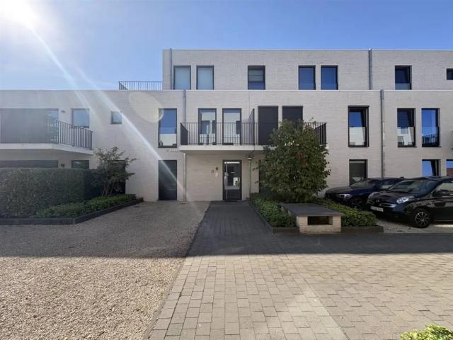 Appartement location à Lille, Antwerpen