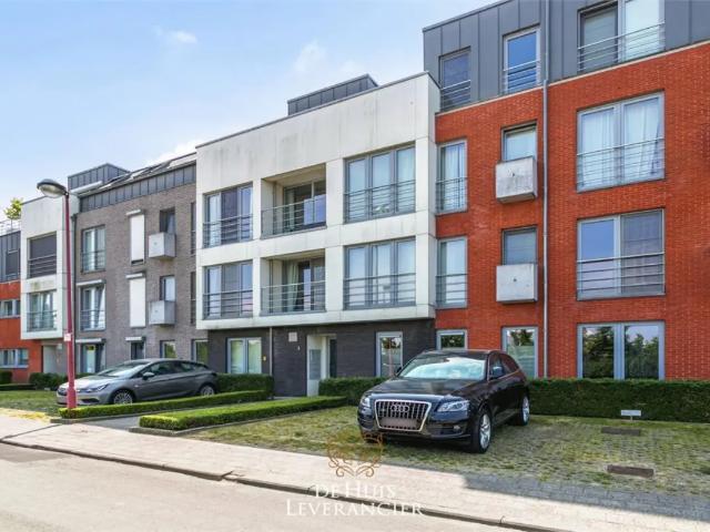 Appartement location à Lint, Antwerpen