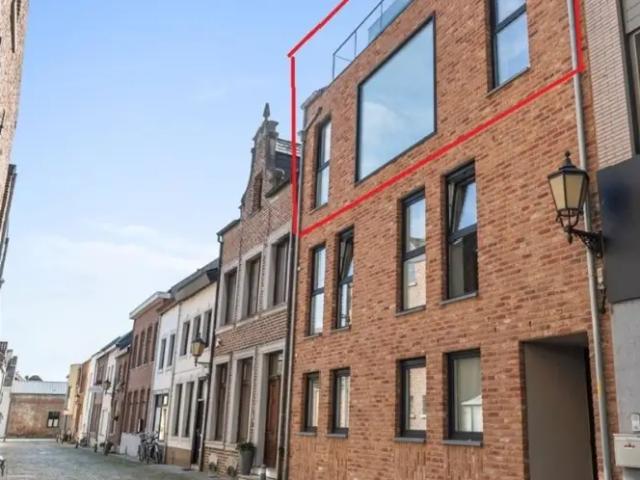 Appartement location à Maaseik, Limburg