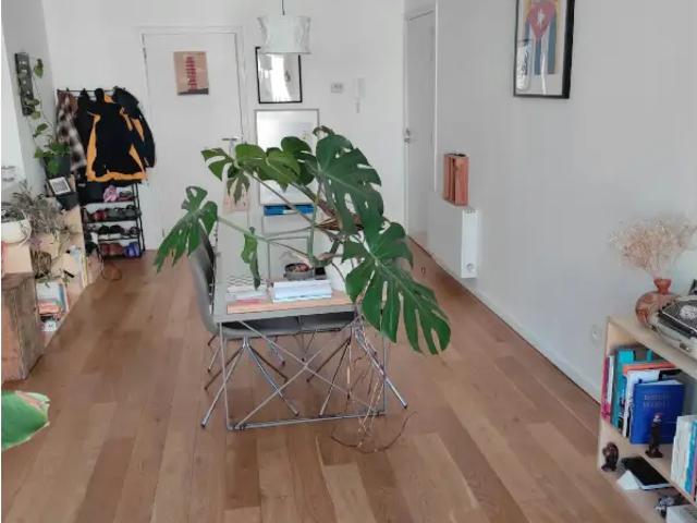 Appartement location à Molem, Bruxelles