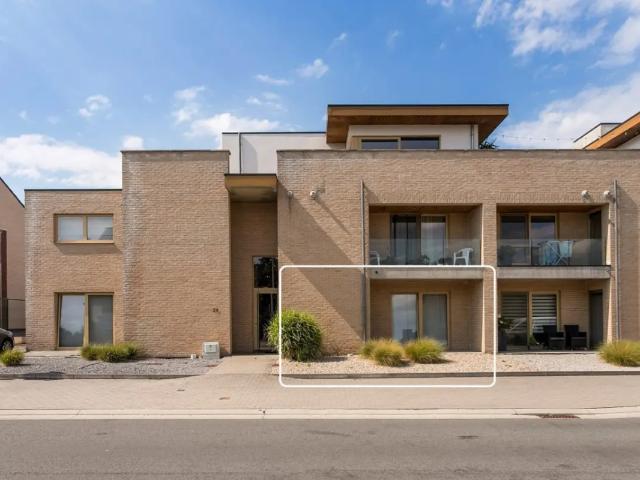 Appartement location à Maaseik, Limburg