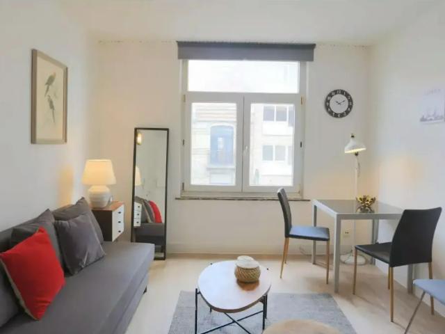 Appartement location à Saint-gilles, Bruxelles