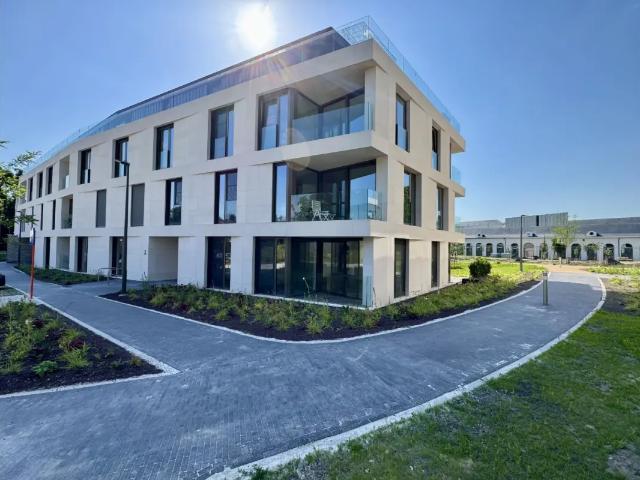 Appartement location à Montaigu-zichem, Brabant